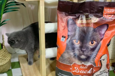 里奥纳多猫粮是天然粮吗