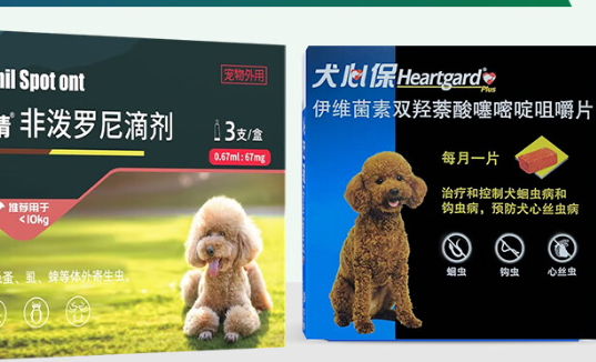 犬心保：狗狗健康的忠诚卫士