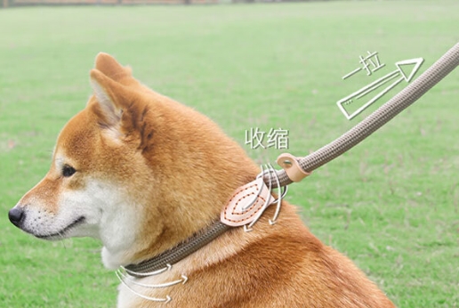 加仕高是什么品牌