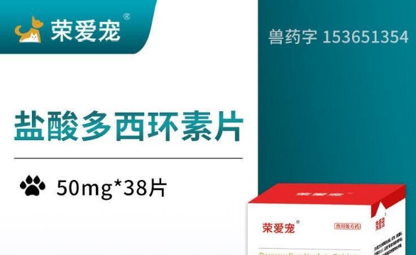 荣爱宠公司地址在哪