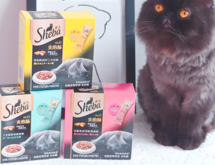 鲁希德猫零食，康美为猫咪健康美味护航