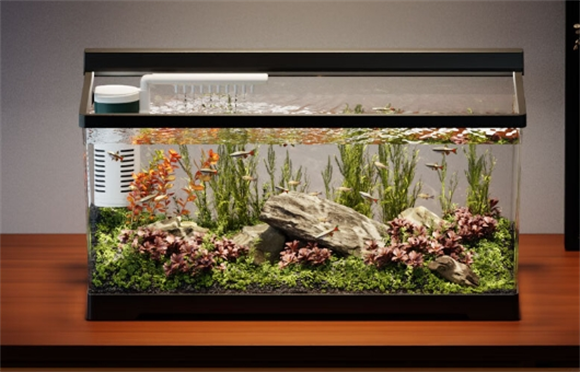 Barbarous Growth生态鱼缸怎么布置 Barbarous Growth生态鱼缸怎么布置