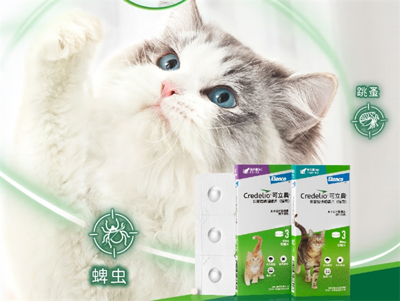 可立奥：宠物驱虫的高效之选