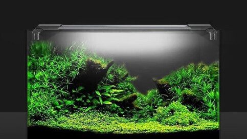 吉印水草灯，水族爱好者的理想之选