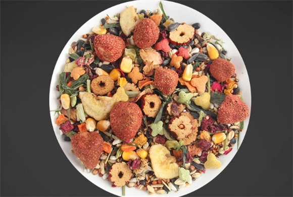 麦叮卡仓鼠粮食过期了能吃吗 麦叮卡仓鼠粮食过期了能吃吗