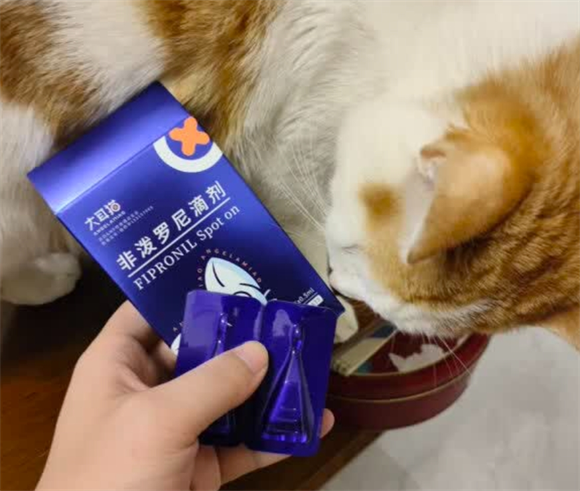 大耳猫驱虫，守护爱宠健康的关键