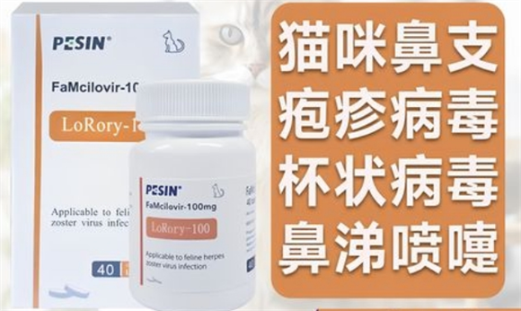 pesin泛昔洛韦治什么