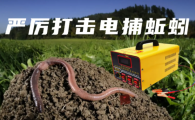 电蚯蚓赚钱吗?