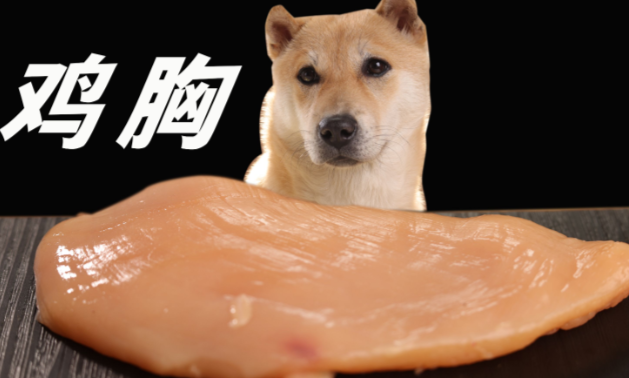 臻顿蒸煮鸡胸肉，狗狗的安心之选