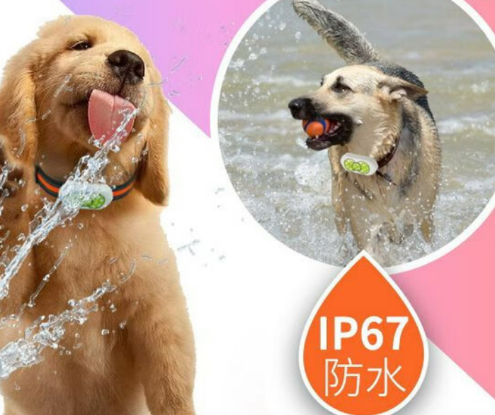 聚宝源狗狗定位器，狗狗的贴心守护神器