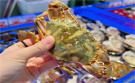 海螃蟹和海虹螃蟹有什么区别