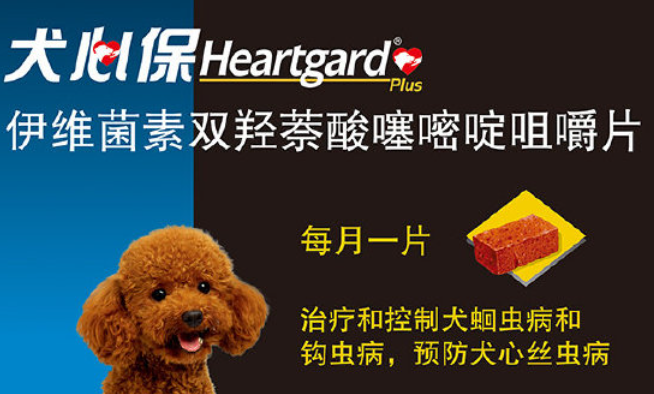 HEARTGARD驱虫药怎么使用 HEARTGARD驱虫药怎么使用