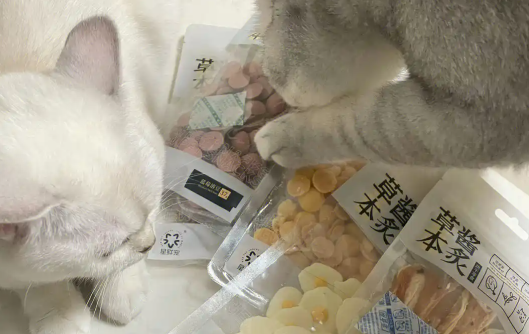 星鲜宠产品种类丰富，满足多样需求