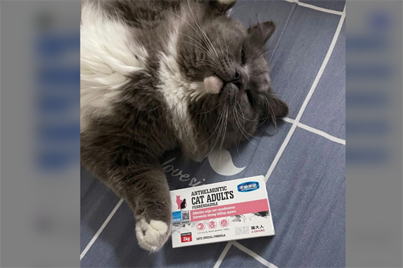 美施美康驱虫药：猫咪驱虫新选择
