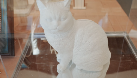 高价宠物殡葬收费达万元,“高情绪价值”还是诱导消费? 高价宠物殡葬收费达万元,“高情绪价值”还是诱导消费?