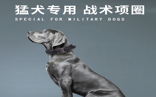 锋上