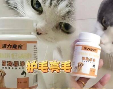 活力宠宠猫狗崇净多久吃一次
