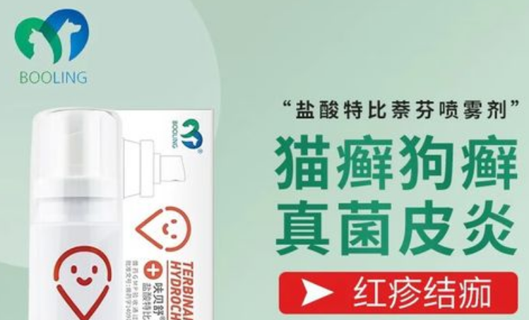 BOOLING宠物产品整体表现专业可靠