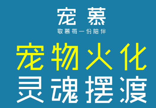 修正宠慕宠物产品特点分析！特点