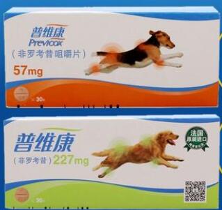 普维康非罗考昔咀嚼片可以止哪类疼痛