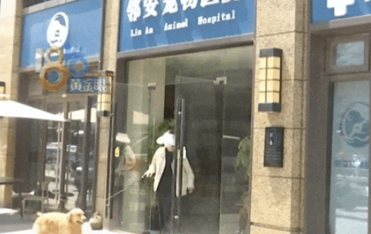 宠物店员工虐待小狗,只因洗澡时不配合 宠物店员工虐待小狗,只因洗澡时不配合