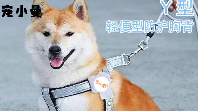 宠小曼狗狗牵引绳怎么套