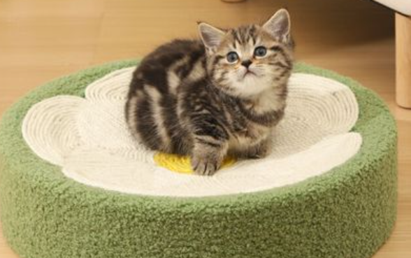 拓宠猫抓板：猫咪的猫抓咪快乐天地，主人的板猫贴心助手