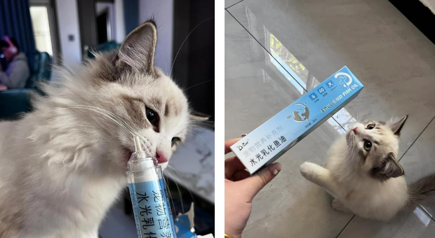 DCAT迪可它鱼油，宠物宠物美毛新宠！美毛