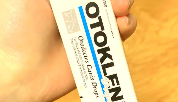 猫咪耳螨反复？试试埃尔金滴耳液耳油