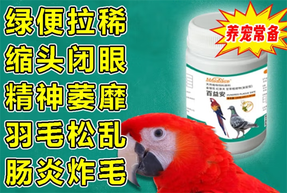 ANIMALOG鹦鹉鸟专用药，际效用实际效果赢得养鸟人信赖