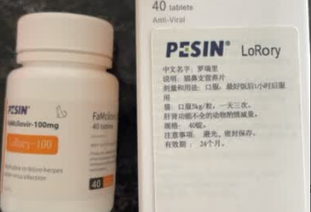 猫鼻支怎么办？PESIN了解一下