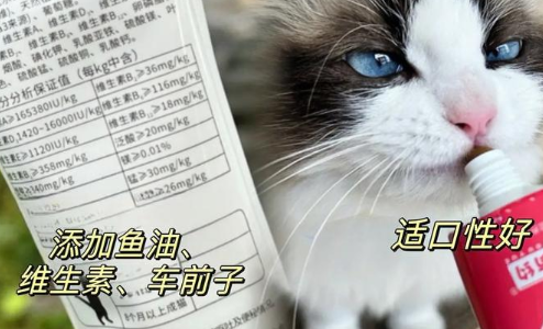 溜达猫化毛膏好不好