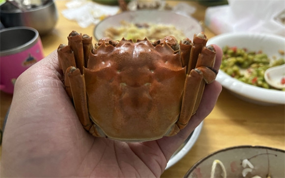大闸蟹里面是绿色的怎么回事?