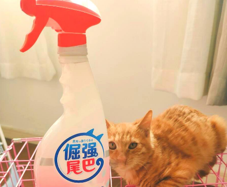 养猫必备：倔强尾巴除臭喷雾推荐