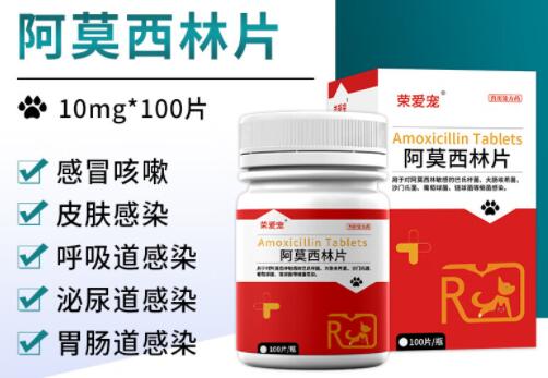 荣爱宠阿莫西林片猫咪能吃吗 荣爱宠阿莫西林片猫咪能吃吗