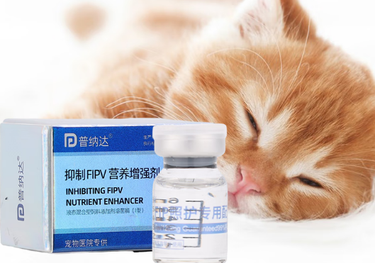 普纳达传腹克星怎么区分真假