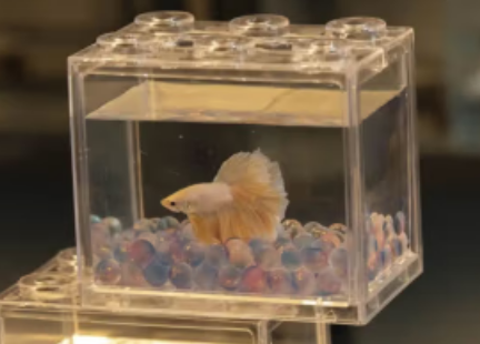 AIPHAROW鱼缸水泵要一直开吗