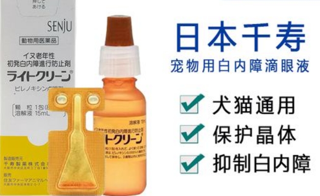 千寿宠物眼药水日本哪里买得到 千寿宠物眼药水日本哪里买得到