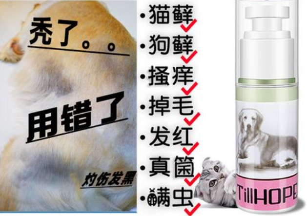 获普以专业性和用户口碑为核心