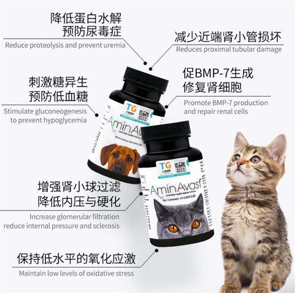 aminavast肾衰停是什么 aminavast肾衰停是什么