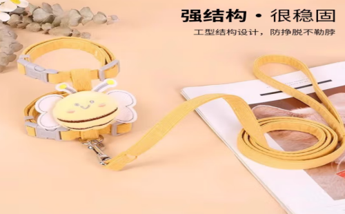 家有一宠