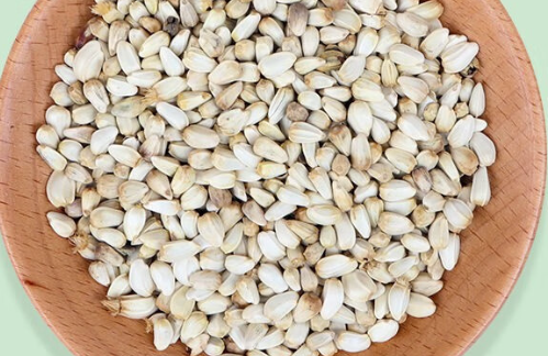 花卷宝宝鸟食怎么样