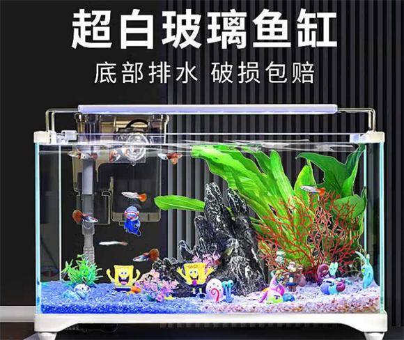爬将军鱼缸过滤器不抽水怎么回事 爬将军鱼缸过滤器不抽水怎么回事