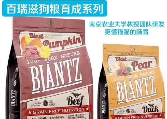 百瑞滋属于杂牌子吗