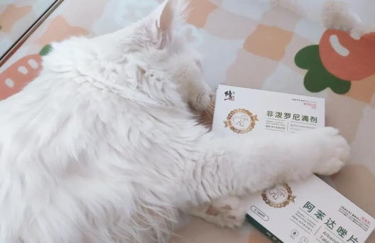 修正宠慕宠物品牌介绍~