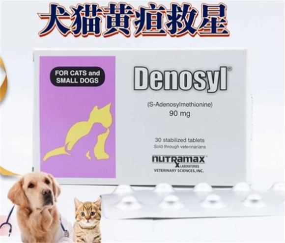 丹诺仕可以长期吃吗 丹诺仕可以长期吃吗
