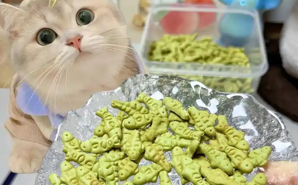 倍宝猫草饼干好吃吗 倍宝猫草饼干好吃吗