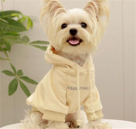CHU XING JIA宠物衣服在哪里买 CHU XING JIA宠物衣服在哪里买