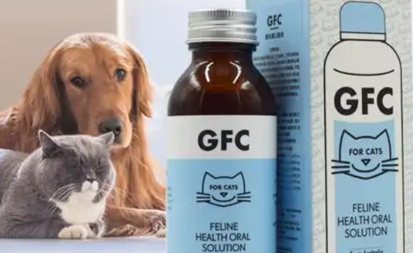 GFC是什么品牌