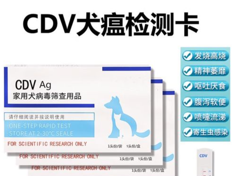 森普特宠物试纸：开启宠物健康检测新时代